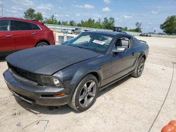  Salvage Ford Mustang