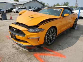  Salvage Ford Mustang