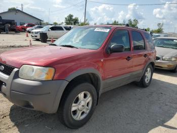  Salvage Ford Escape