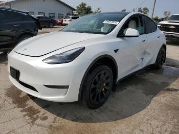  Salvage Tesla Model Y