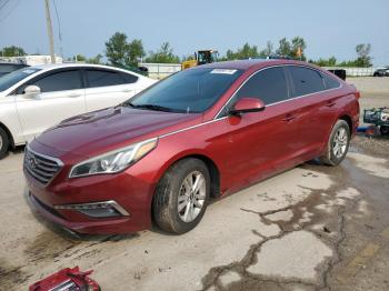  Salvage Hyundai SONATA