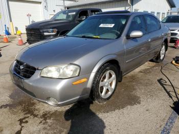  Salvage Nissan Maxima