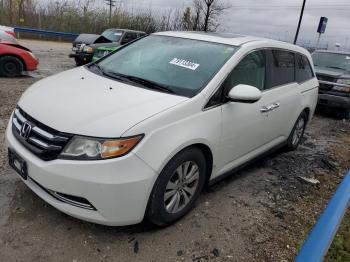  Salvage Honda Odyssey