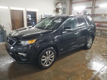  Salvage Kia Sorento