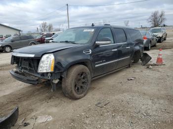  Salvage Cadillac Escalade