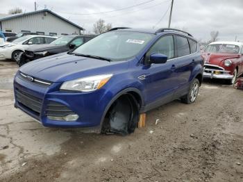  Salvage Ford Escape