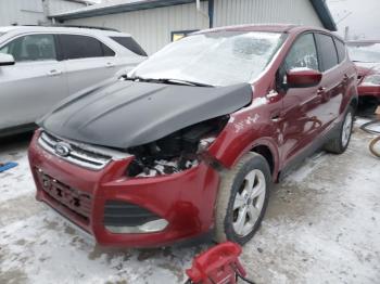  Salvage Ford Escape