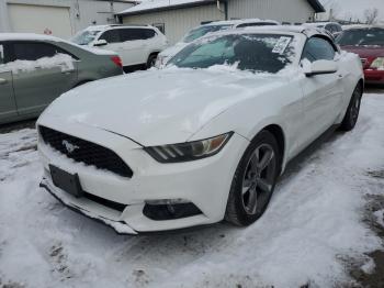  Salvage Ford Mustang