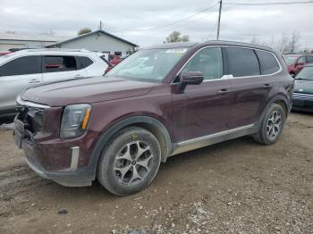  Salvage Kia Telluride