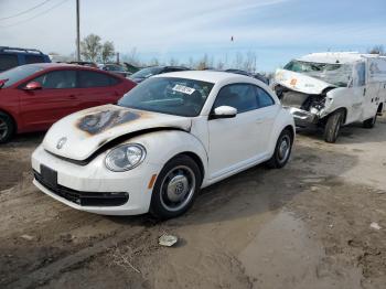  Salvage Volkswagen Beetle