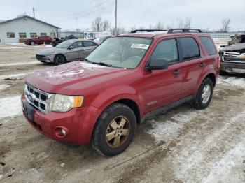  Salvage Ford Escape