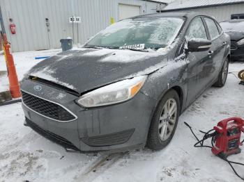  Salvage Ford Focus