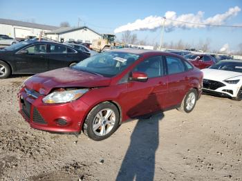  Salvage Ford Focus