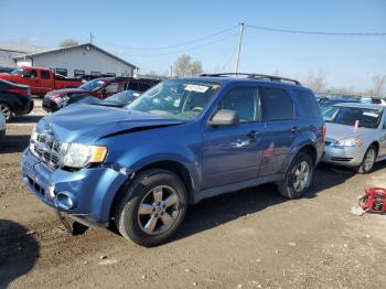  Salvage Ford Escape