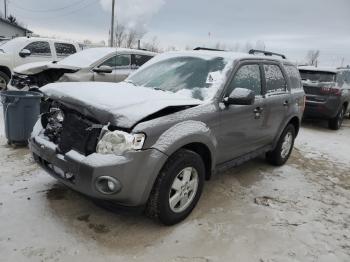  Salvage Ford Escape