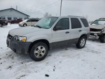  Salvage Ford Escape