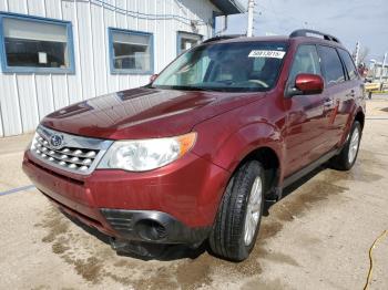 Salvage Subaru Forester