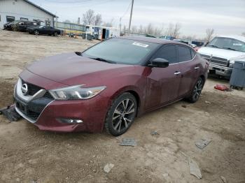  Salvage Nissan Maxima