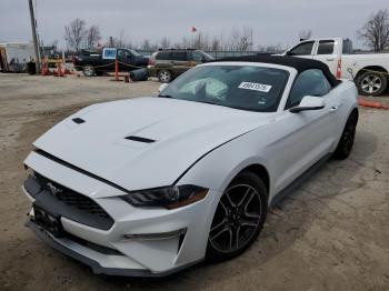  Salvage Ford Mustang