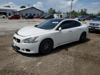  Salvage Nissan Maxima