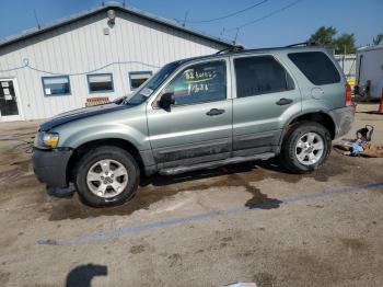  Salvage Ford Escape