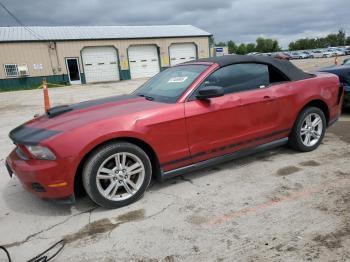  Salvage Ford Mustang