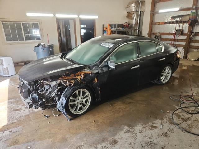  Salvage Nissan Maxima