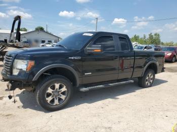  Salvage Ford F-150