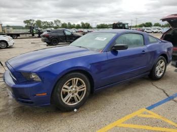  Salvage Ford Mustang