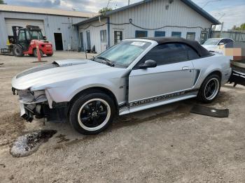  Salvage Ford Mustang
