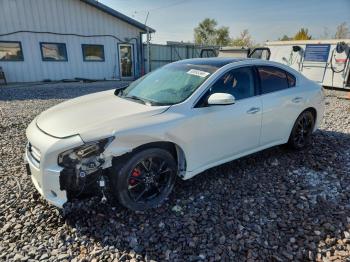  Salvage Nissan Maxima