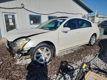  Salvage Nissan Maxima