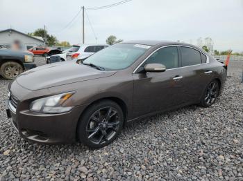 Salvage Nissan Maxima