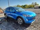 Ford Escape Sel Image 12