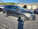 Ford Escape Titanium Image 9