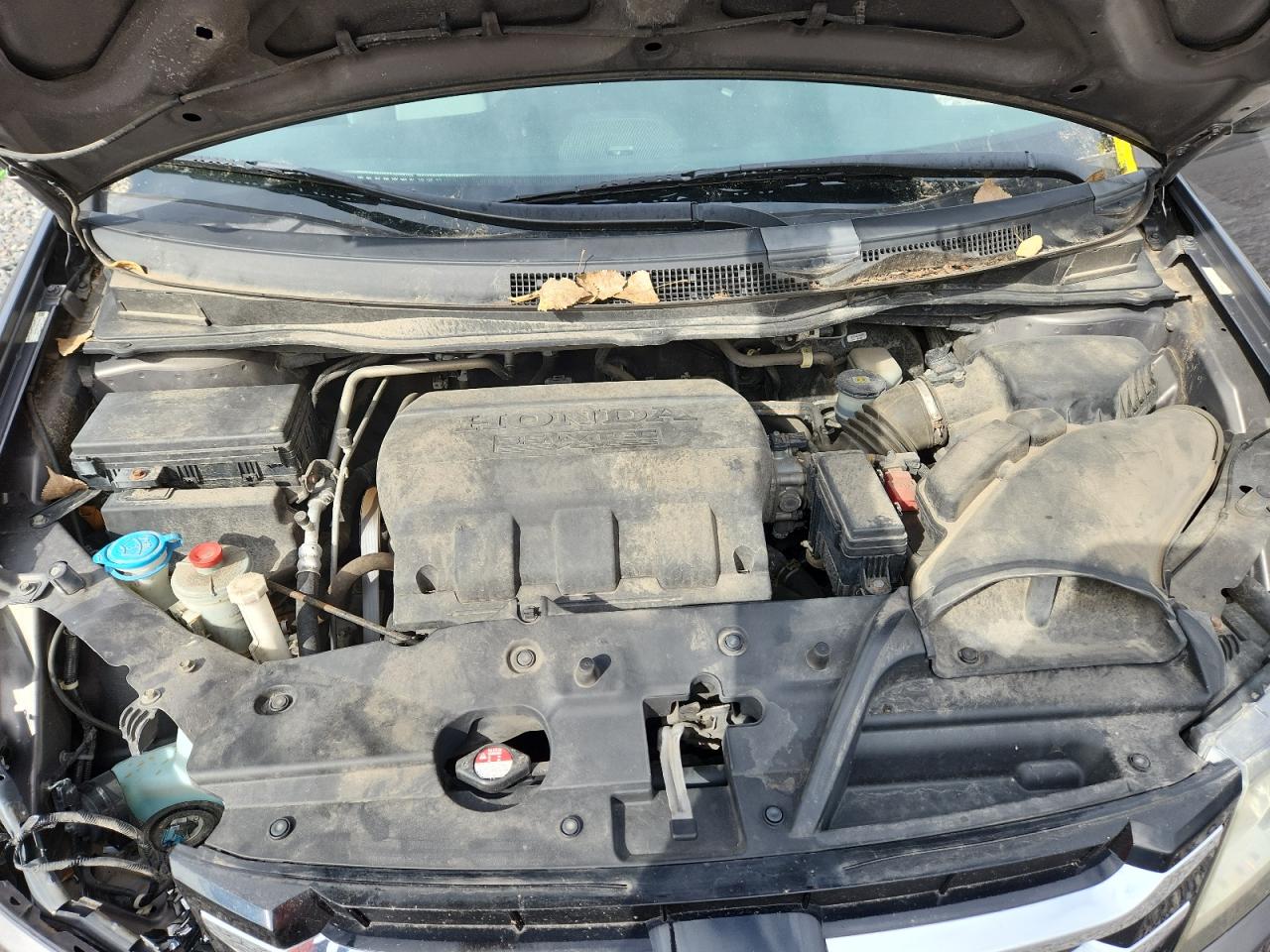 Honda Odyssey Exl Image 11