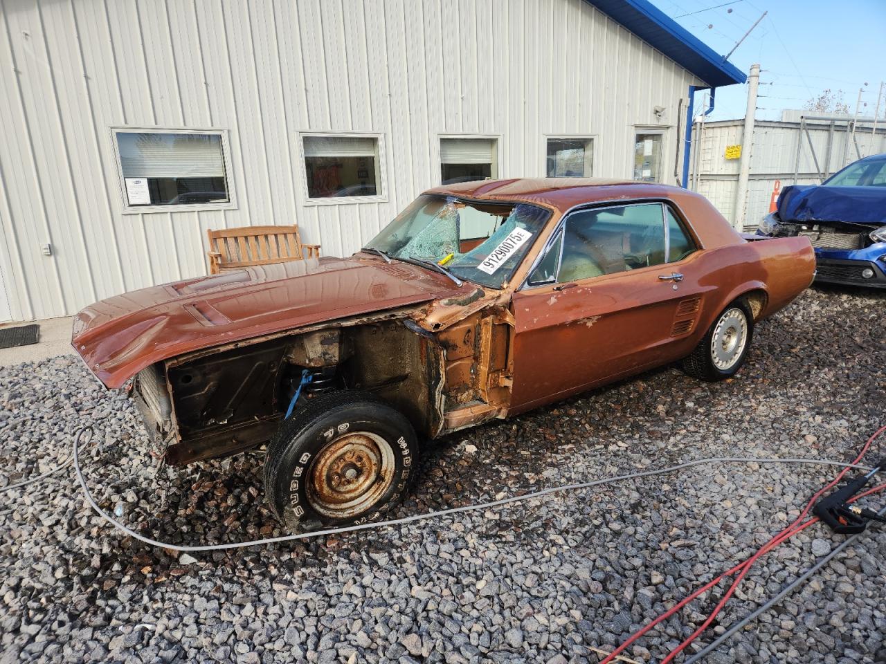Ford Mustang Image 1