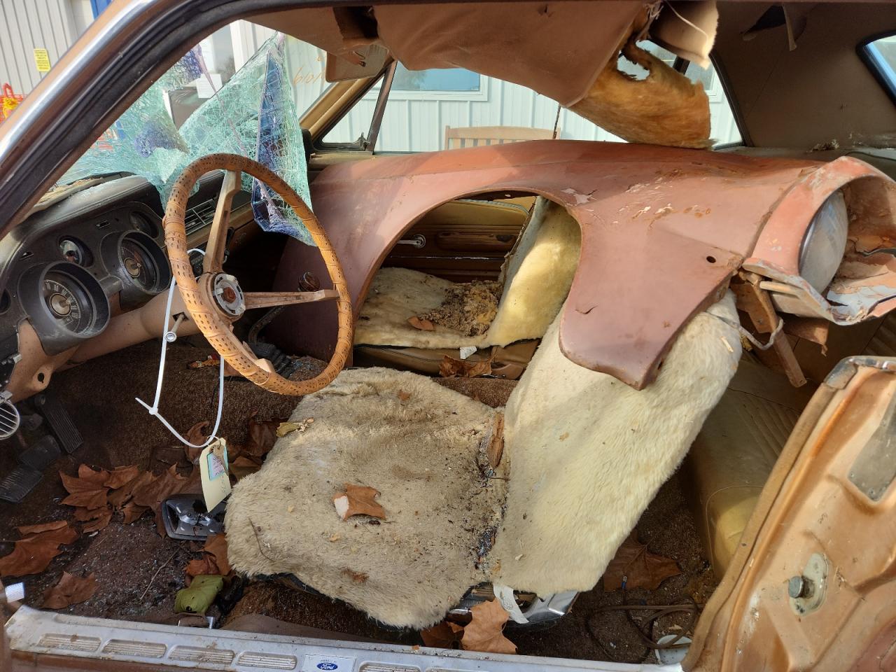 Ford Mustang Image 10