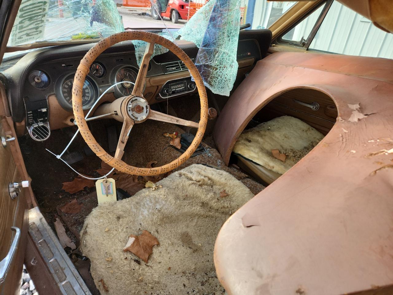 Ford Mustang Image 4