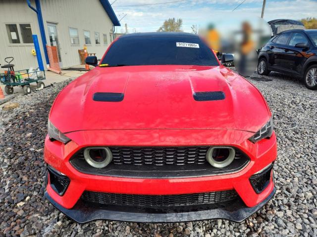 Ford Mustang Gt Image 10