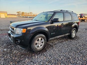  Salvage Ford Escape