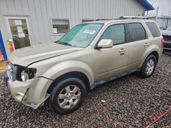  Salvage Ford Escape
