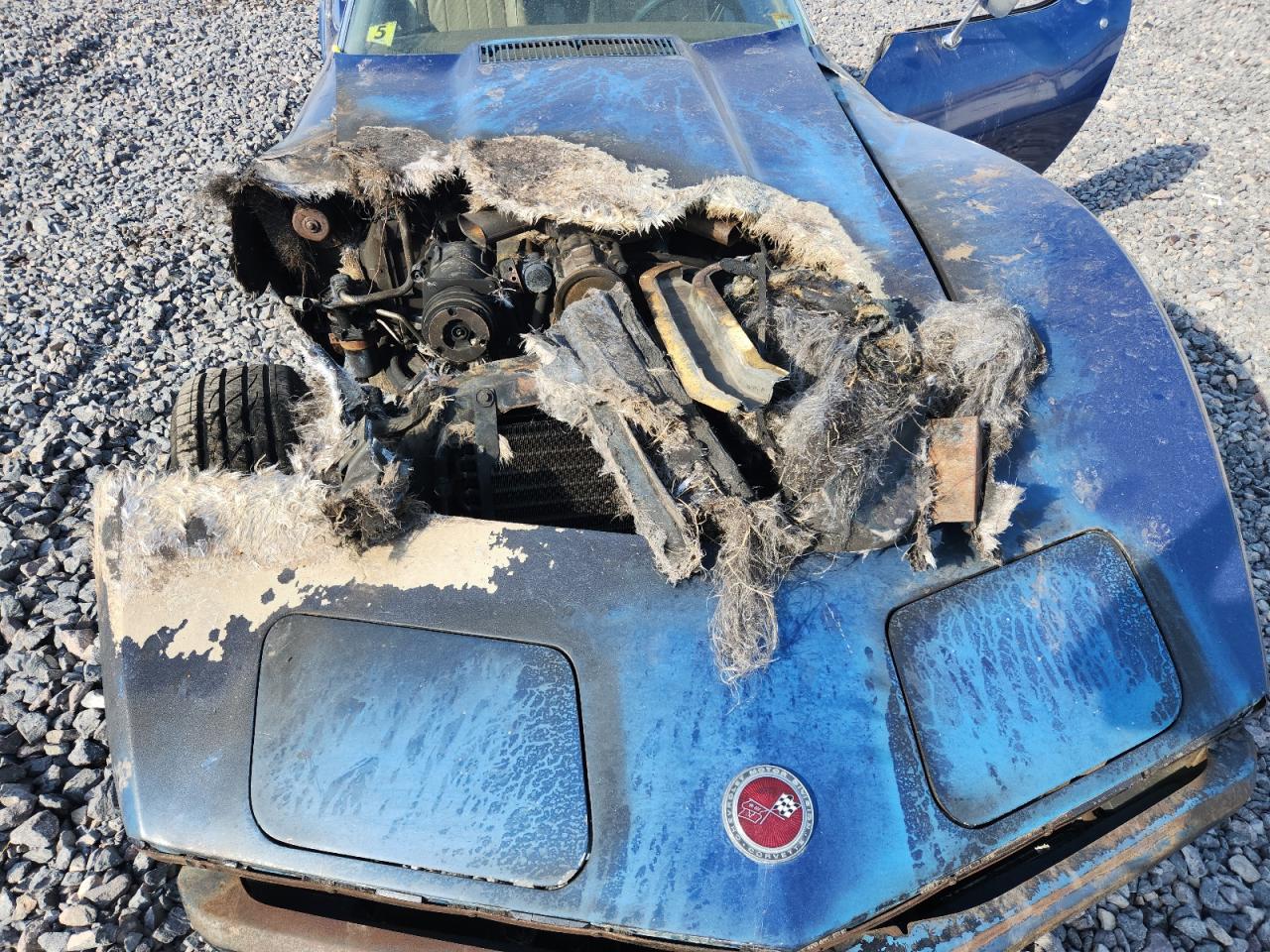 Chevrolet Corvette Image 11