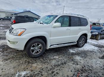  Salvage Lexus Gx