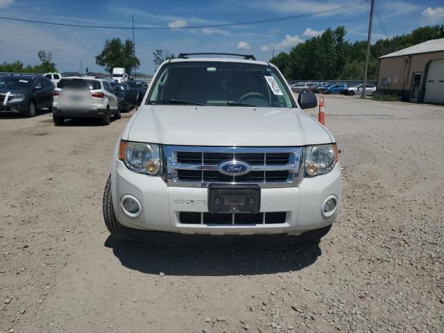 Ford Escape Xlt Image 5
