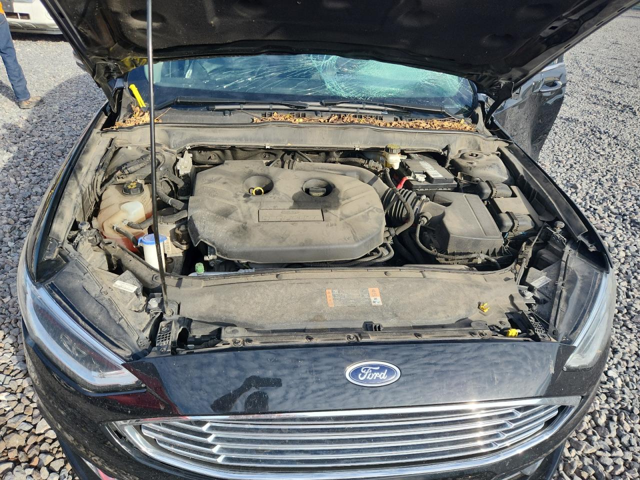 Ford Fusion Se Image 8