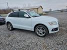 Audi Q5 Premium Plus Image 3