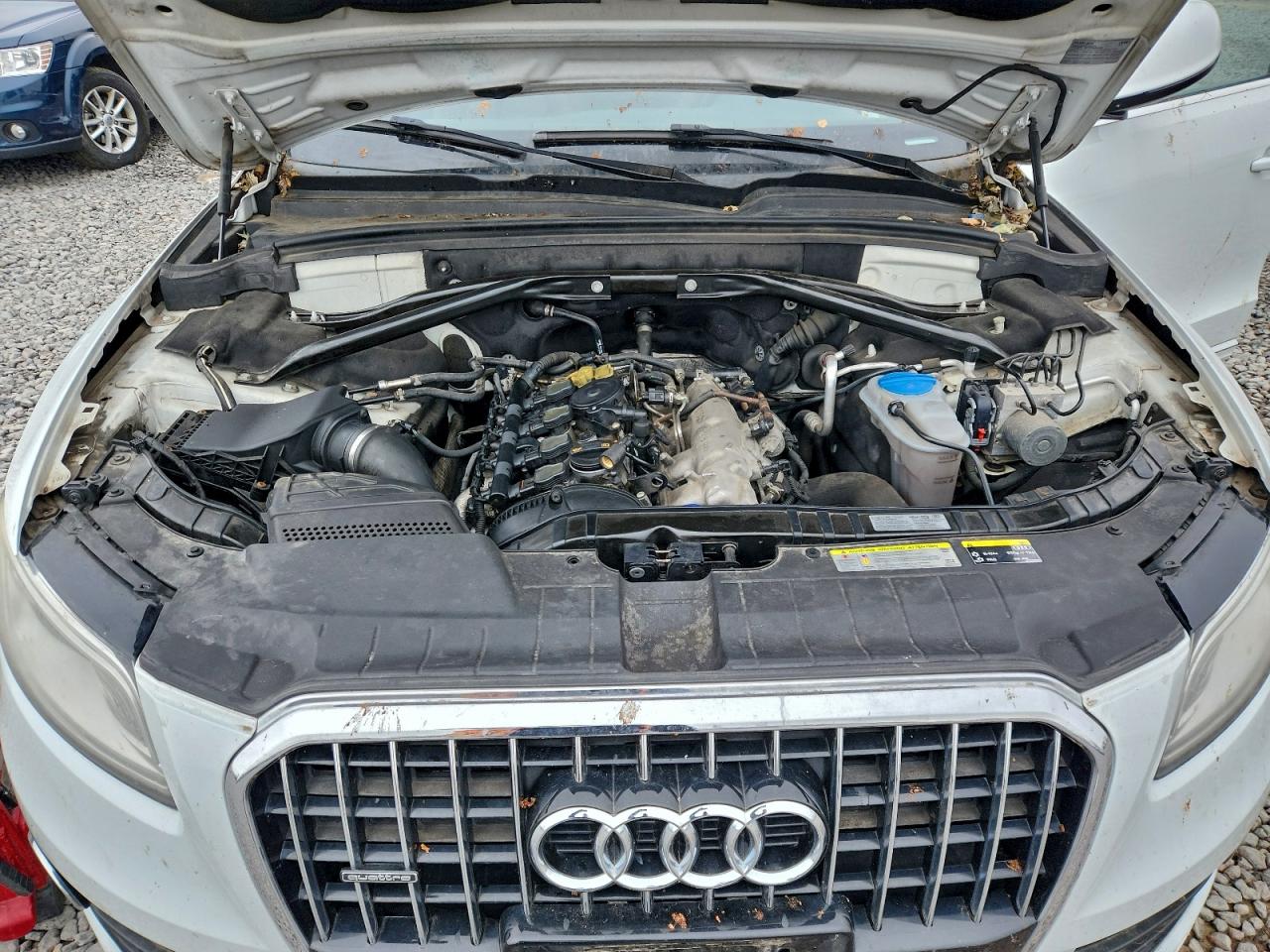 Audi Q5 Premium Plus Image 6