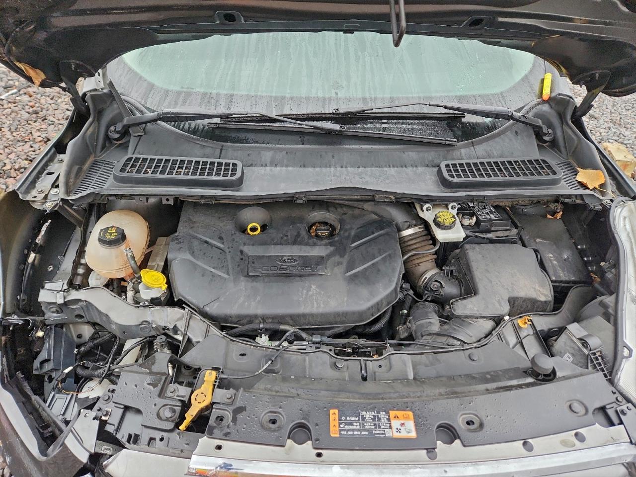 Ford Escape Titanium Image 9