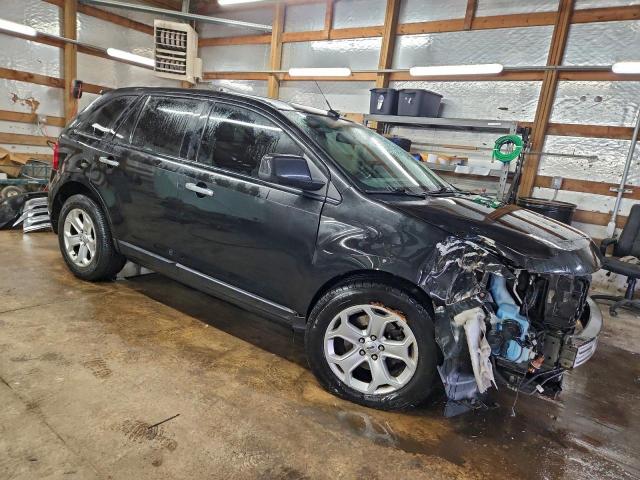 Ford Edge Sel Image 3